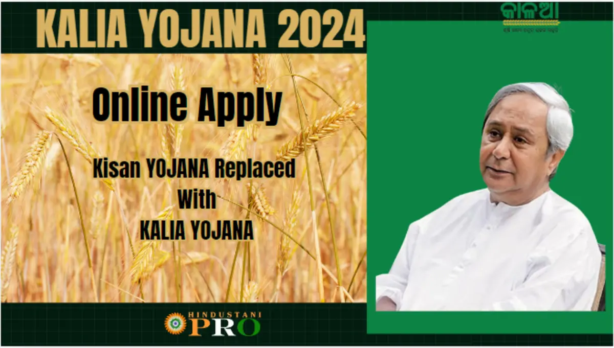 Kalia Yojana 2024 | Apply Online at Kalia Portal & Check Status 1 Kalia Yojana
