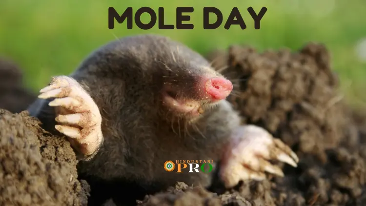 national mole day 