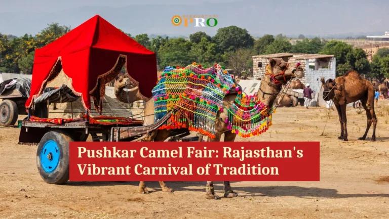 pushkar camel fair