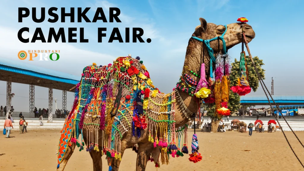 pushkar camel fair 